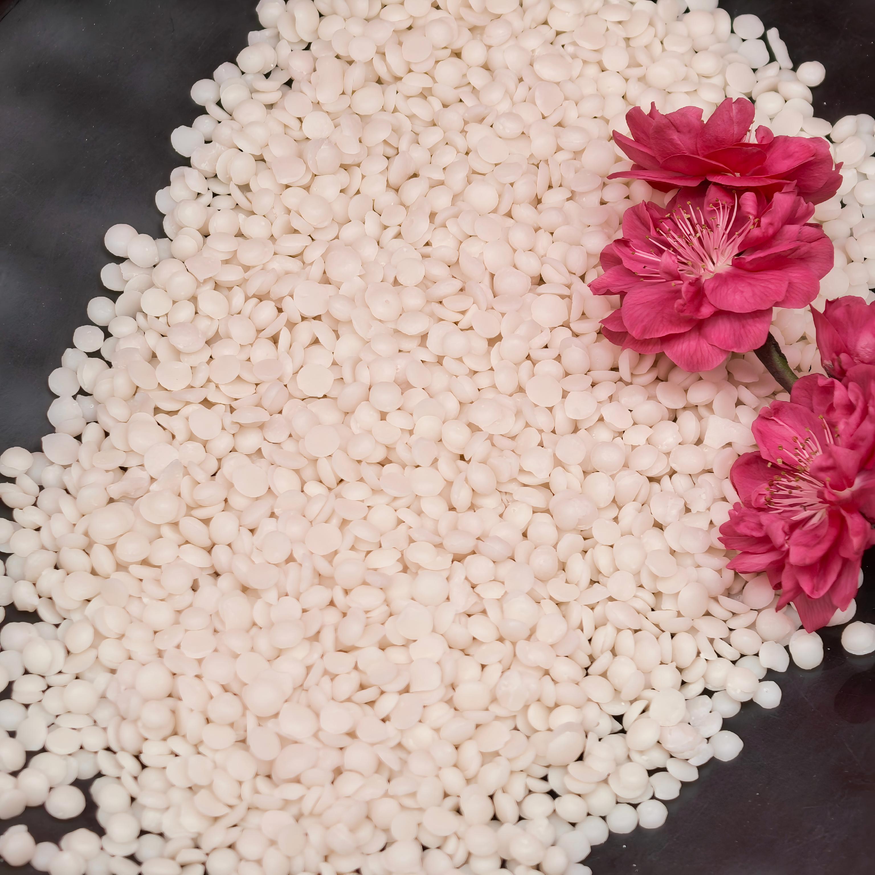 Top Berry Wax Supplier: A Guide to Quality Natural Ingredients